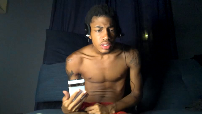 blackbulltitus