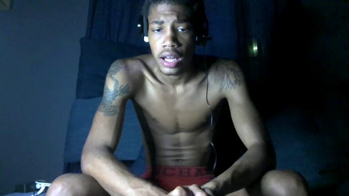 blackbulltitus