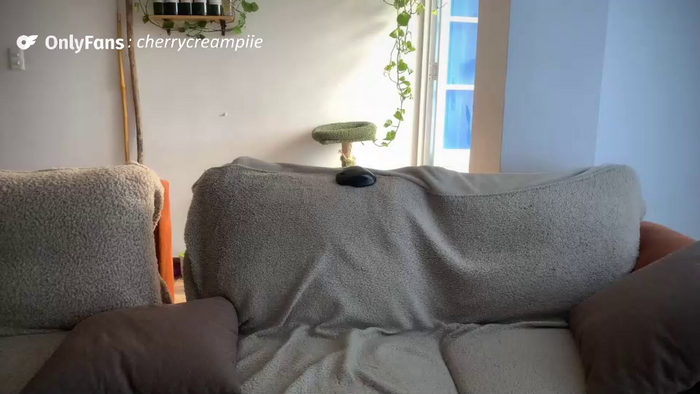 andycherrysecrets