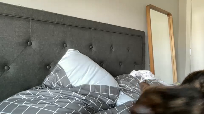 kddaniels412