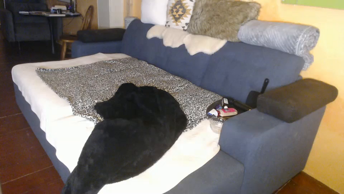 kimberlyfaysantana