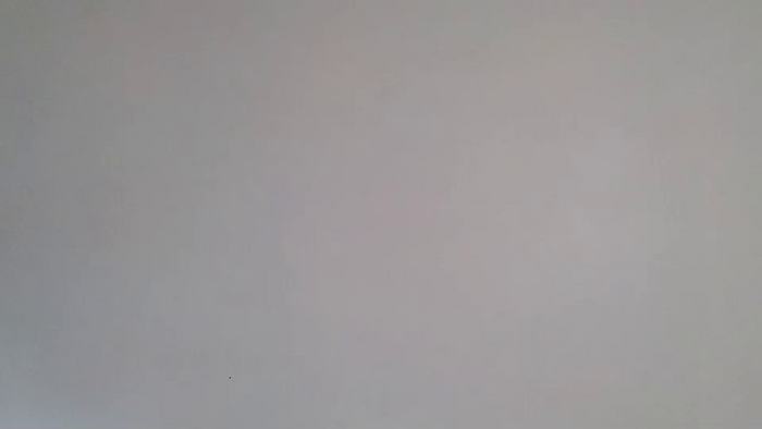_demi_dee_