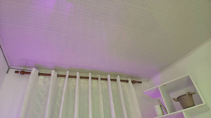 nezo_