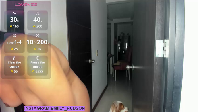 emily_huddson_