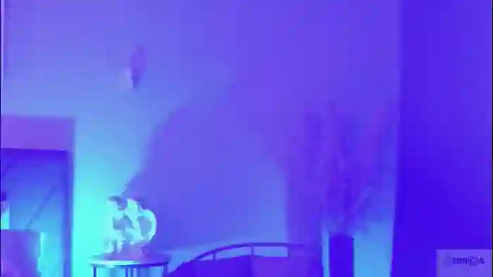 2025/08/23/chaturbate-violetta_finch-18-22-28