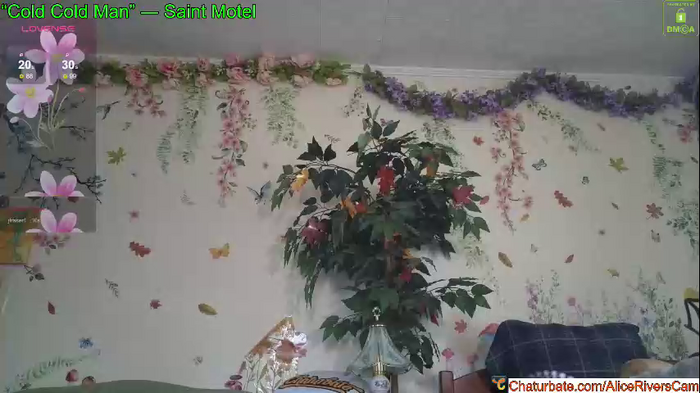 aliceriverscam