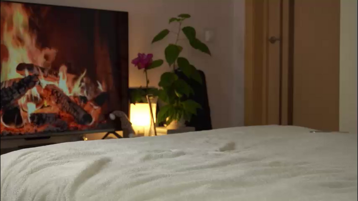 alitaangel_