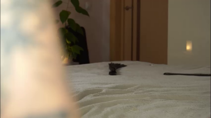 alitaangel_