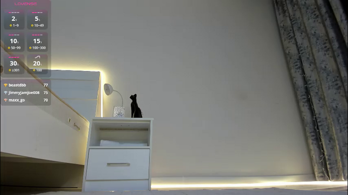 meow_mikasa