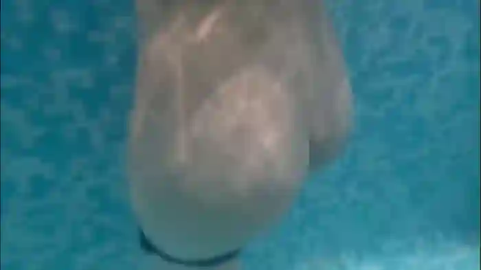 2025/08/27/chaturbate-butteflai-15-30-48