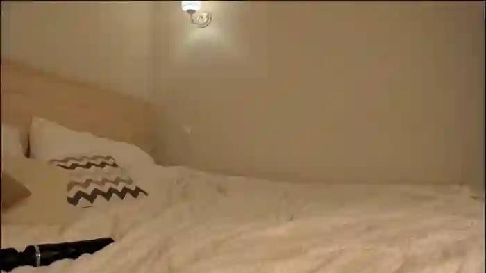2025/08/28/chaturbate-w1xll-11-10-32