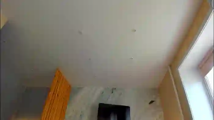 2025/08/29/chaturbate-miss_bubbles-05-54-39