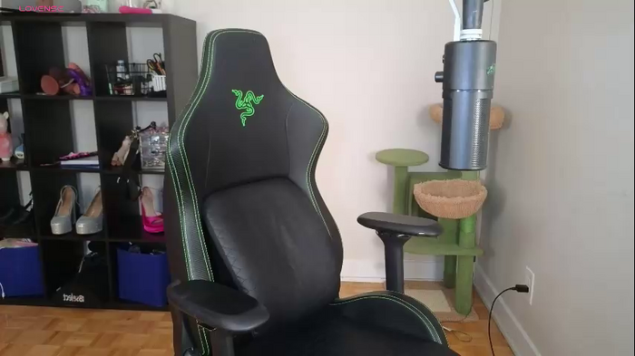 alexa_dream