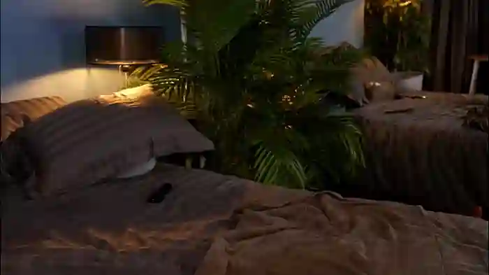 2025/09/04/chaturbate-_keti_-21-58-40