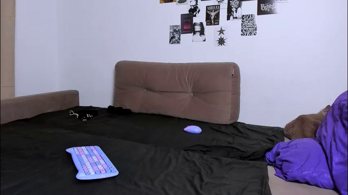 ladytrep