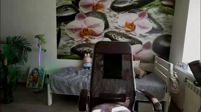 jennycutey