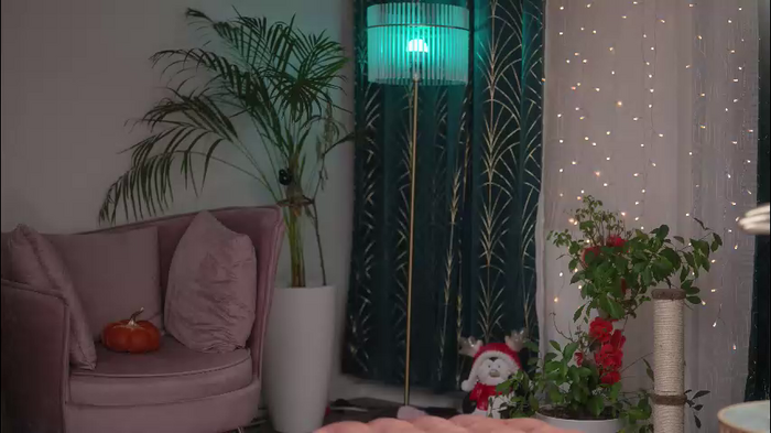 ellismeow