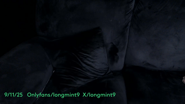 longmint96