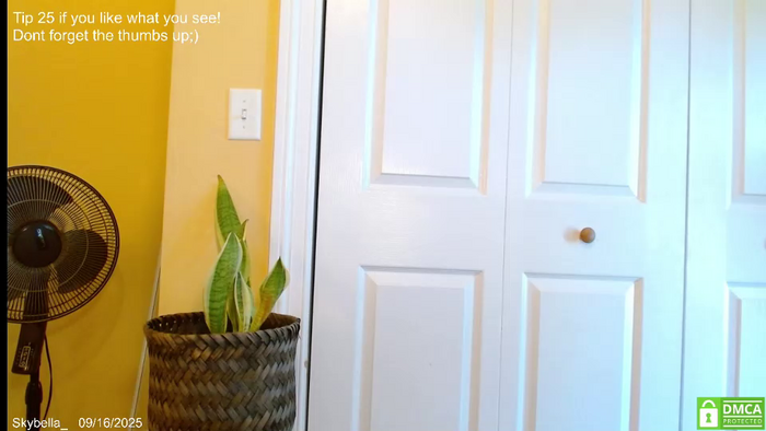 skybella_