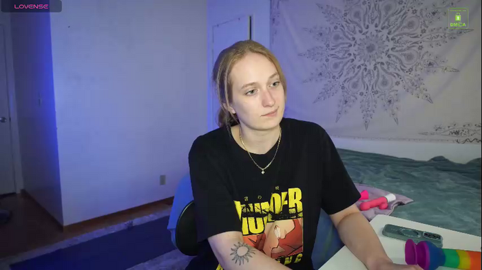 laylas_universe