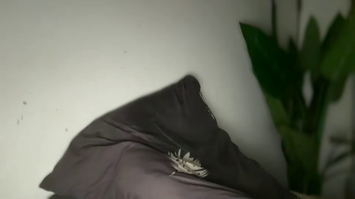 scarlet_snowxx