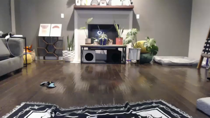 vanessawildly