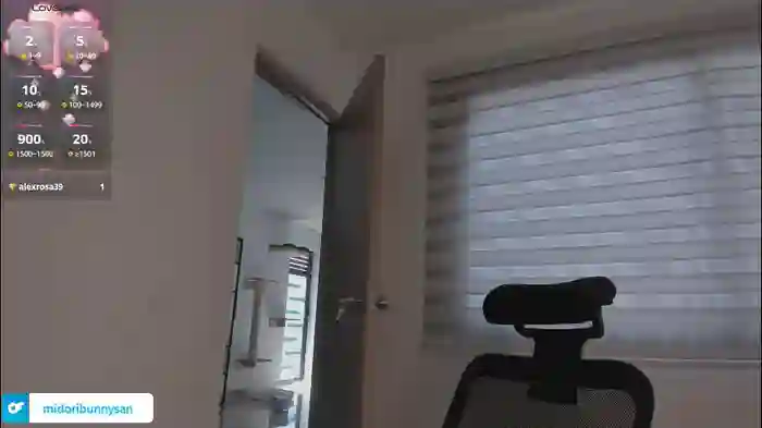 2025/09/24/chaturbate-midori__san-14-27-29