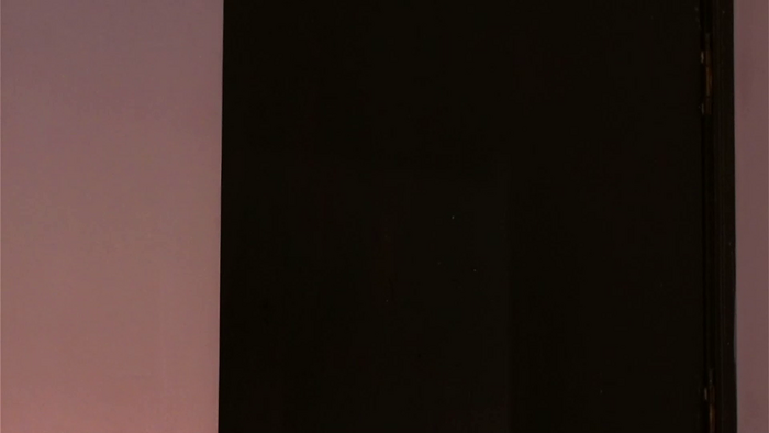 lola_cocks