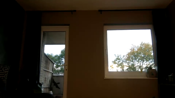 goddessmiamuse