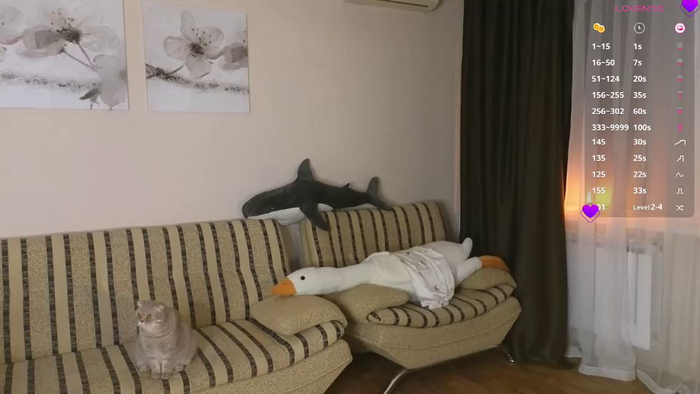 charming__kitty
