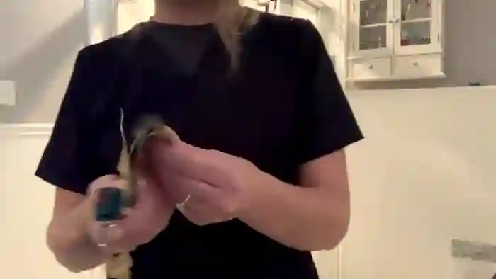 2025/10/01/chaturbate-intothewoodswego-20-48-47