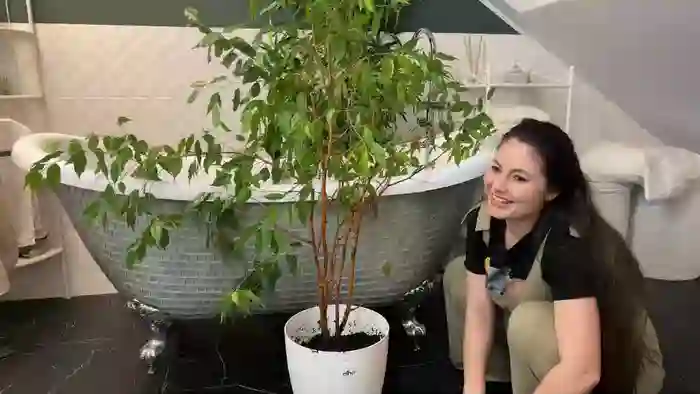 2025/10/13/chaturbate-laurenbrite-16-42-47