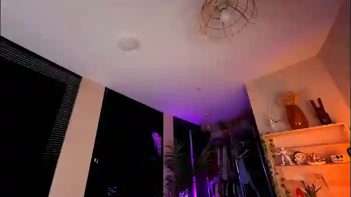 2025/10/17/chaturbate-vixenp-21-26-17
