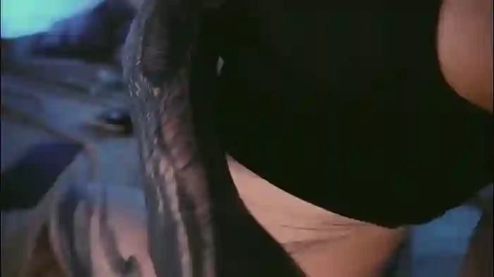 2025/10/20/chaturbate-stanovaya300kg-17-08-01