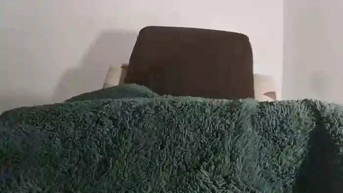 2025/10/21/chaturbate-alotofcream-08-52-34