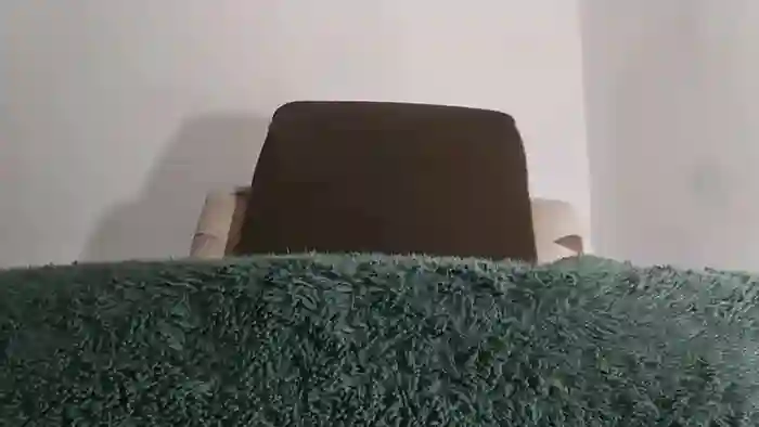 2025/10/22/chaturbate-alotofcream-07-11-39