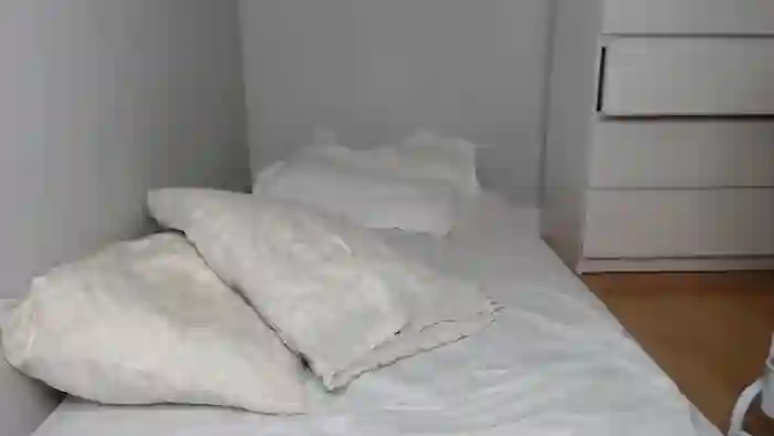2025/10/24/chaturbate-jiwooe-02-55-42