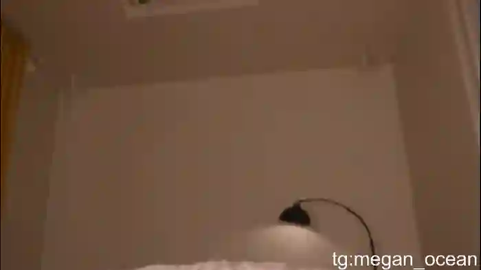 2025/10/27/chaturbate-megan_galactica-16-24-33