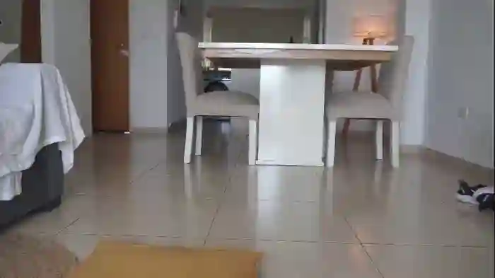 2025/10/28/chaturbate-donnna19-14-01-15