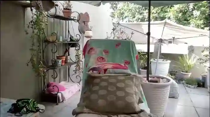 2026/01/01/chaturbate-gl1tter_barbie-13-31-49