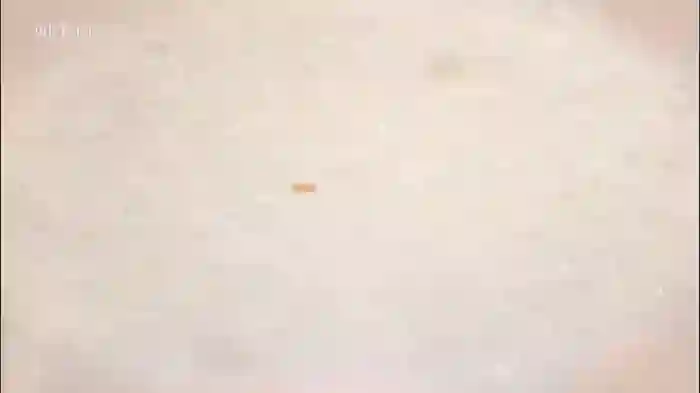 2026/02/02/chaturbate-taanni_bc-20-28-24