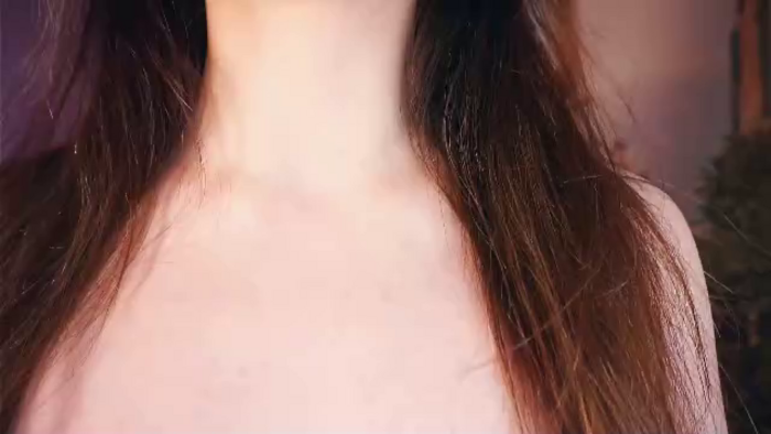 marine-delphin