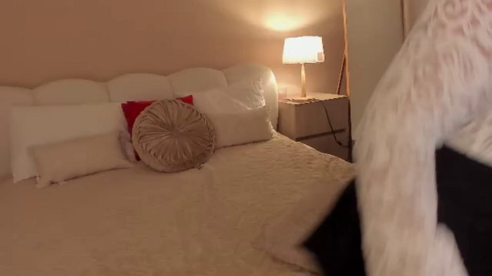 kitty-lowell