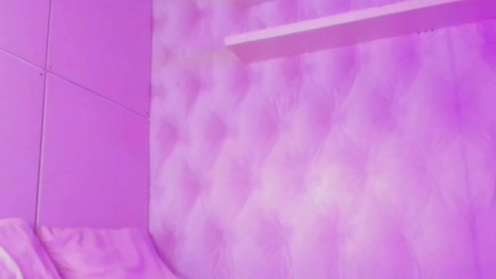 hylari-banks