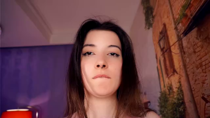 marine-delphin
