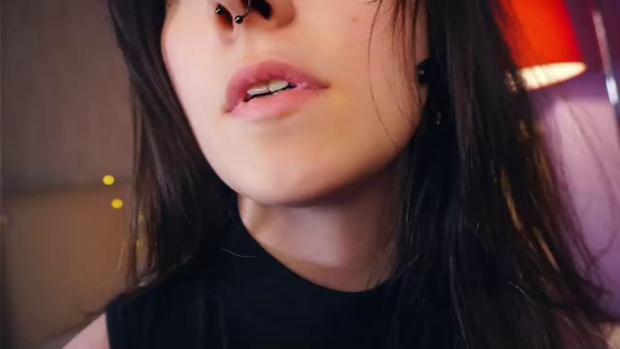marine-delphin