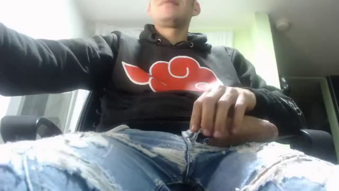 lobo-ositoz