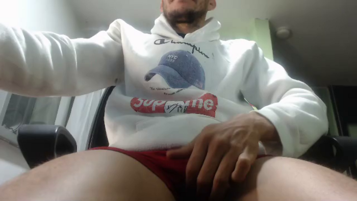 lobo-ositoz