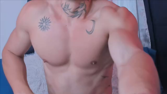 tristan-colt