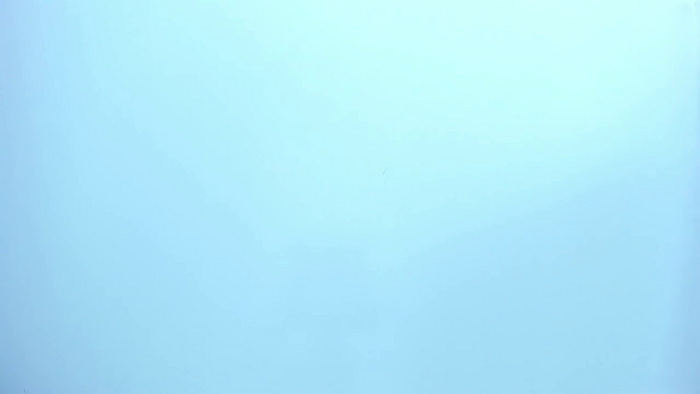 mia-quevedo